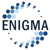 Enigma Corporation logo